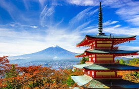 Gratitude Cruise to Japan